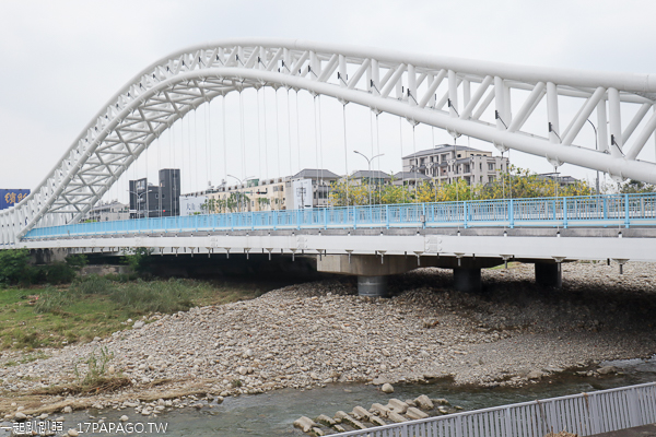 台中北屯|鉅虹建設海天橋水岸公園|百日草|落羽松|阿勃勒|美景盡收眼底 台中北屯|鉅虹建設海天橋水岸公園|百日草|落羽松|阿勃勒|美景盡收眼底