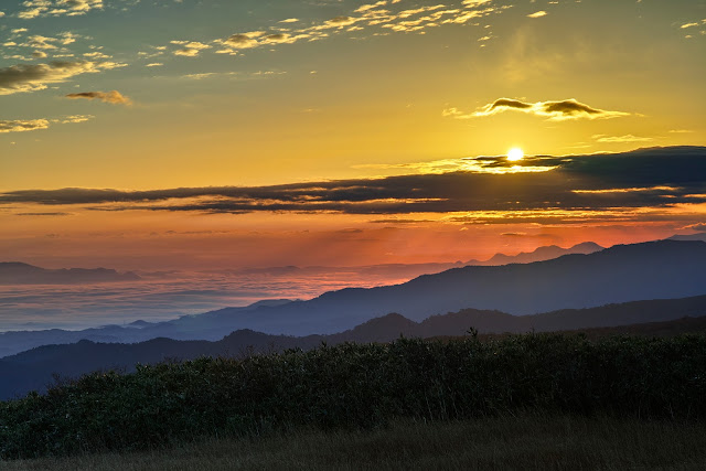 #photo #landscape #sigma #foveon #sdquattroh #japan #yamagata #tsuruoka #山形県 #鶴岡市 #山形帝國 #写真 #風景写真