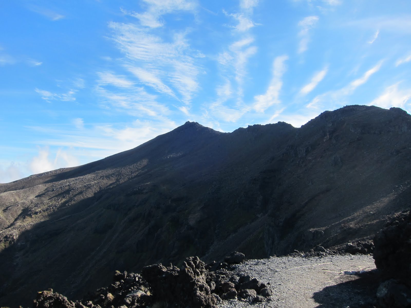 Traveling Solo: Kiwiland