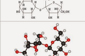 Frutose e o Perigo Chamado Triglicéridos