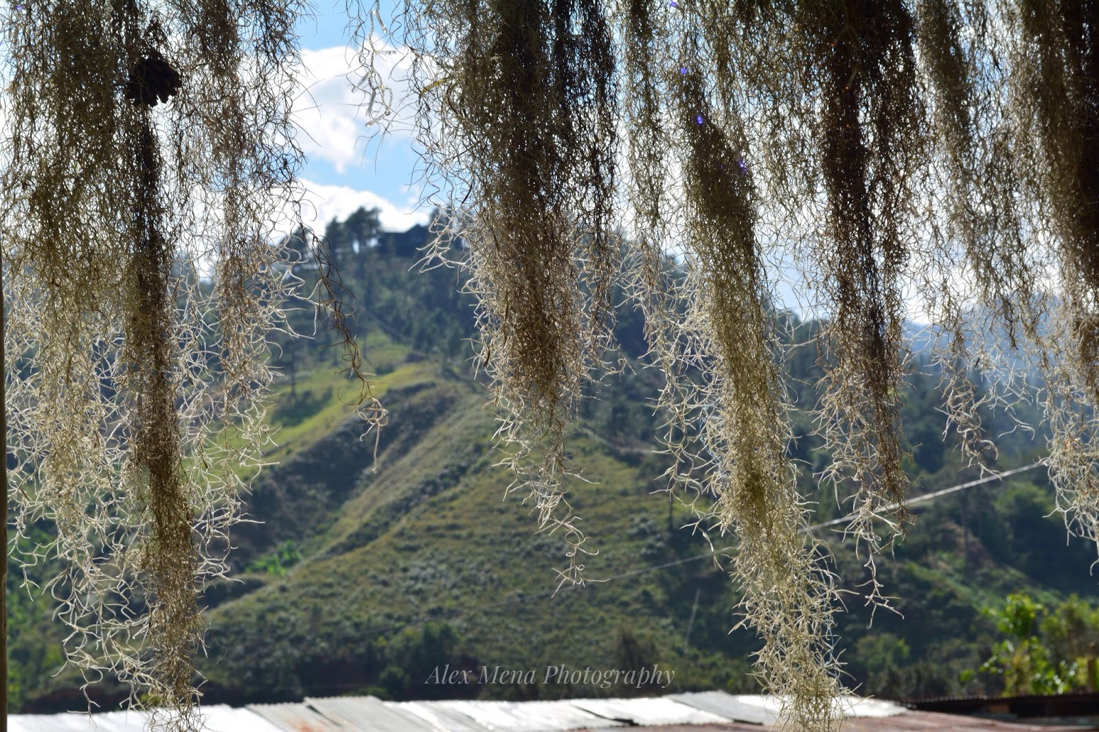 Alex Mena Photography Manabao, Jarabacoa, República Dominicana