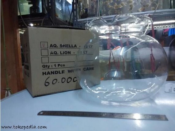 Harga Aquarium Mini Bulat Infoikan Com