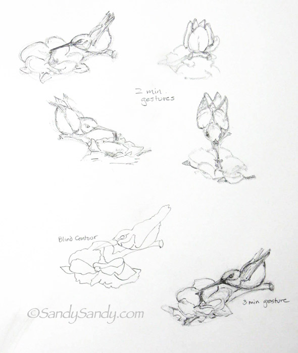 *Sketching Every Day* Some Drawing Exercises