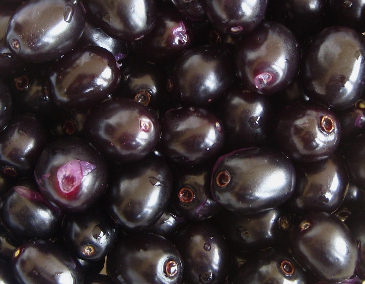 Jamun Ke Fayde Black Plum Benefits in Urdu/Hindi