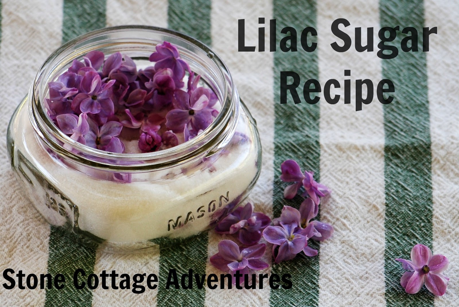 Stone Cottage Adventures: Lilac Sugar Recipe and the Earth Day Blog Hop