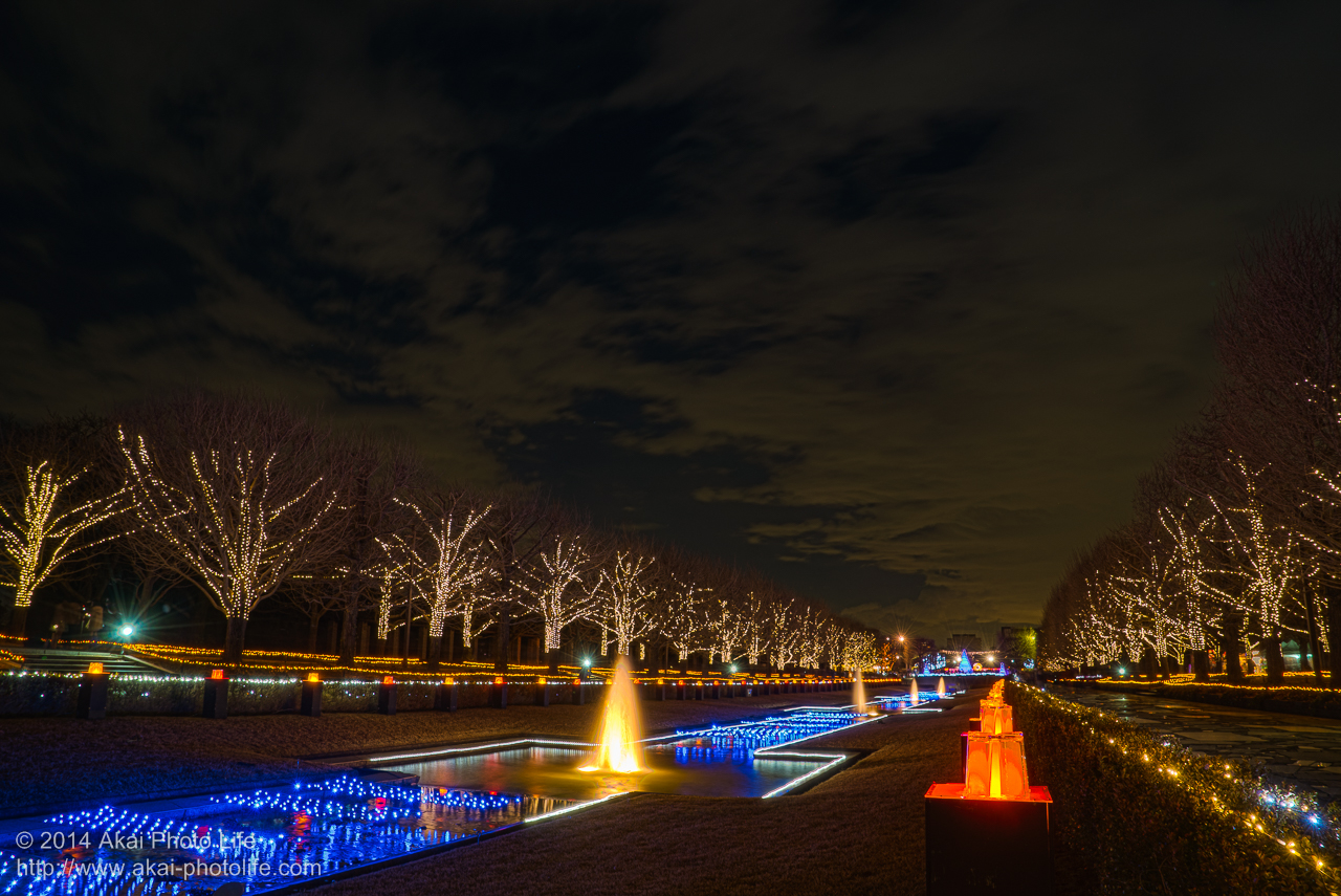 国営昭和記念公園のイルミネーション(WINTER VISTA ILLUMINATION 2014)