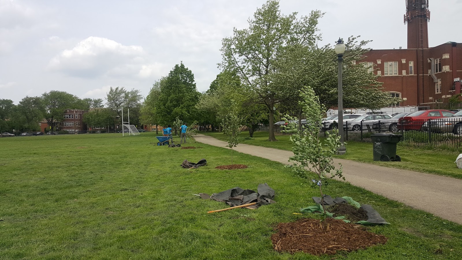 The Chicago Real Estate Local Openlands plants new trees at Winnemac Park