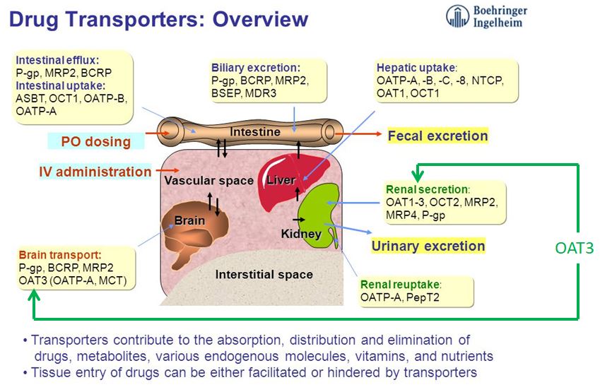 ebook каталог цельных вещей