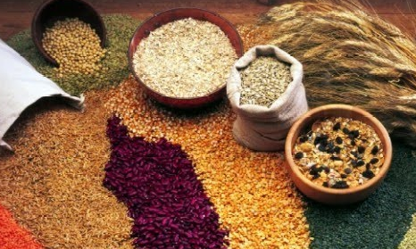 Makalah Zakat Biji Bijian Portal Edukasi