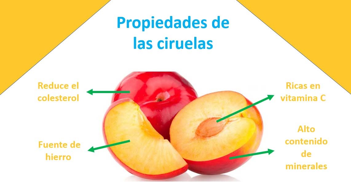 Ciruelas propiedad, beneficios, valores nutricionales, usos y contraindicaciones Propiedades Ciruelas propiedad, beneficios, valores nutricionales, usos y contraindicaciones Propiedades
