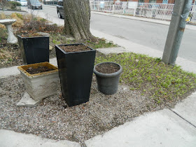 Toronto Parkdale front garden spring clean up after by Paul Jung Gardening Services