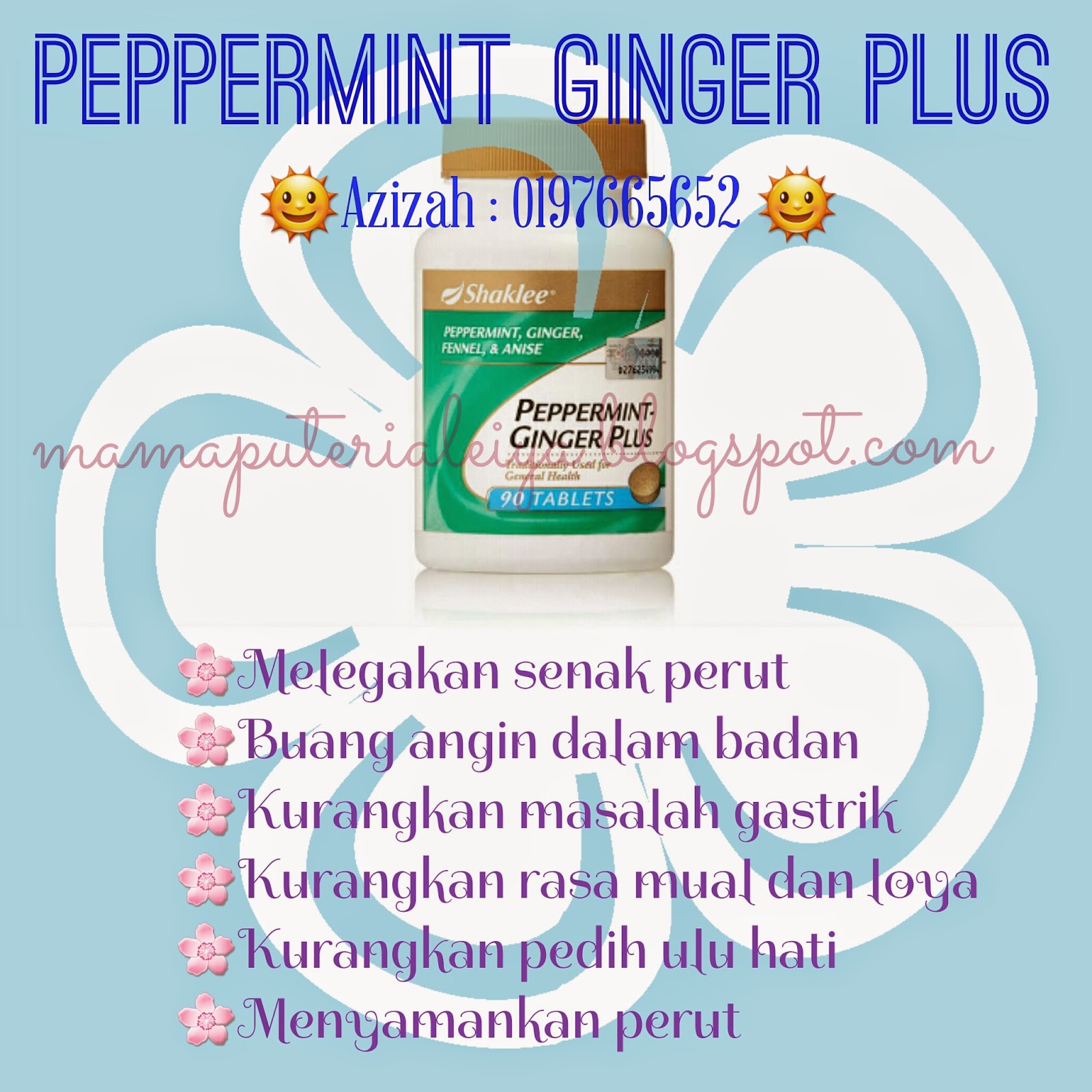 PENGEDAR SHAKLEE JOHOR BAHRU MELEGAKAN PERUT DENGAN PEPPERMINT GINGER PLUS