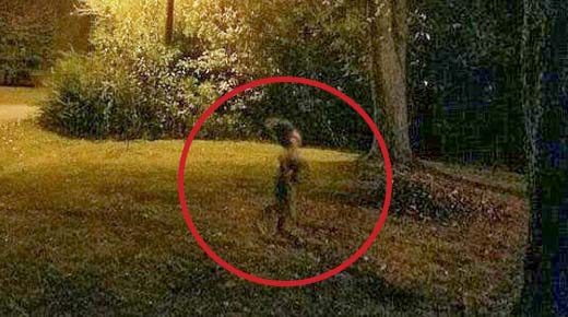 Extraña "criatura" es fotografiada corriendo por un jardín por la noche News-garden-figura%2Bjardin-3