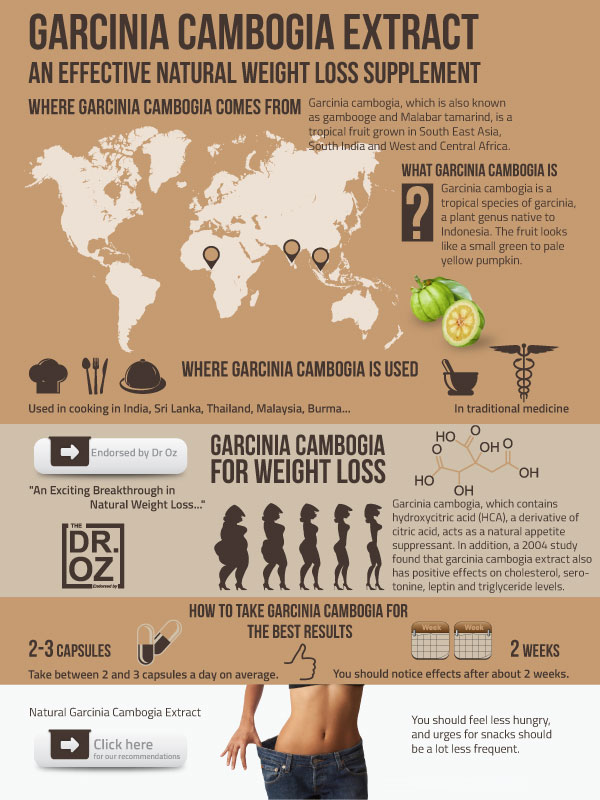 How To Lose Weight Fast With Garcinia Cambogia How To Lose Weight