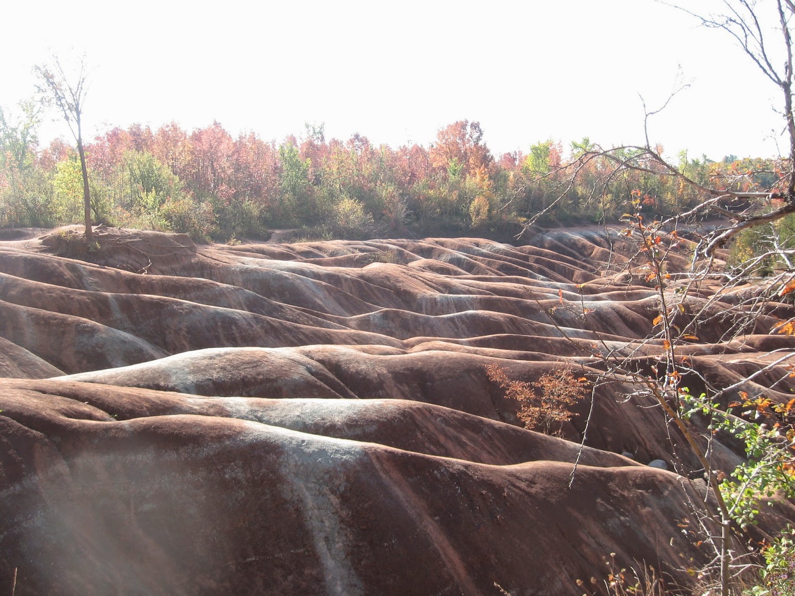 Fibre Art by Mary Katherine Hopkins: Red Rocks in Cheltenham Ontario