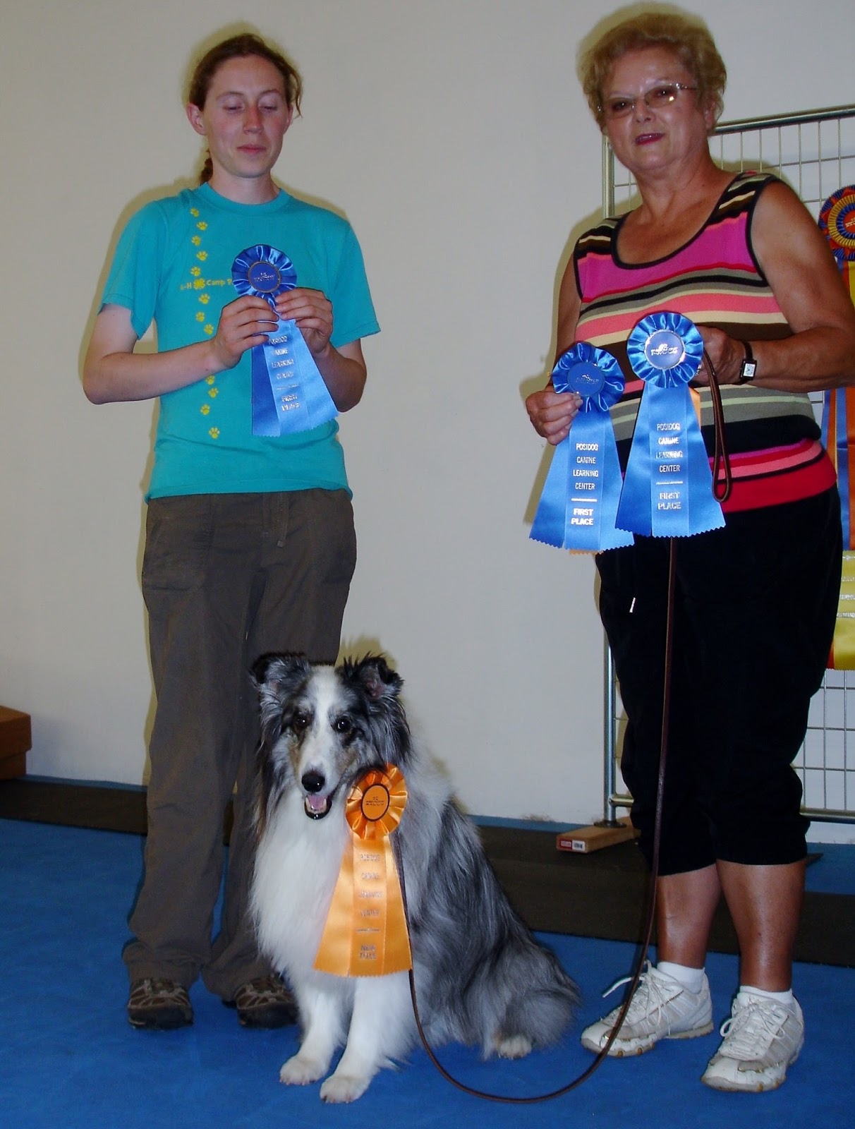 GREENVILLE AREA DOG CLUB OFFERS DOG TRAINING CLASSES