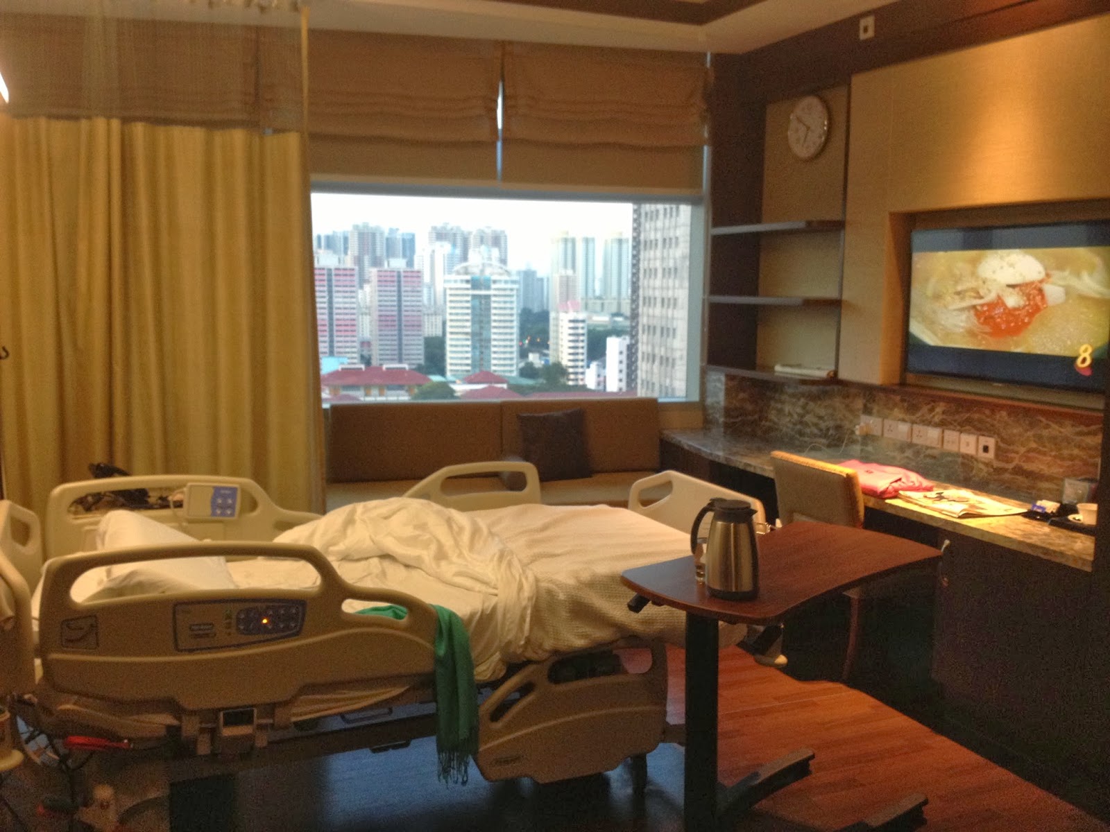 Staycation Part 2 Mount Elizabeth Novena Hospital