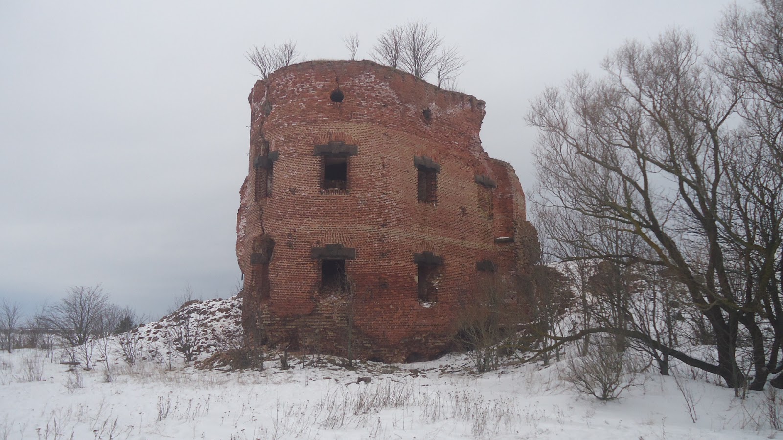 Тост тылы Форт