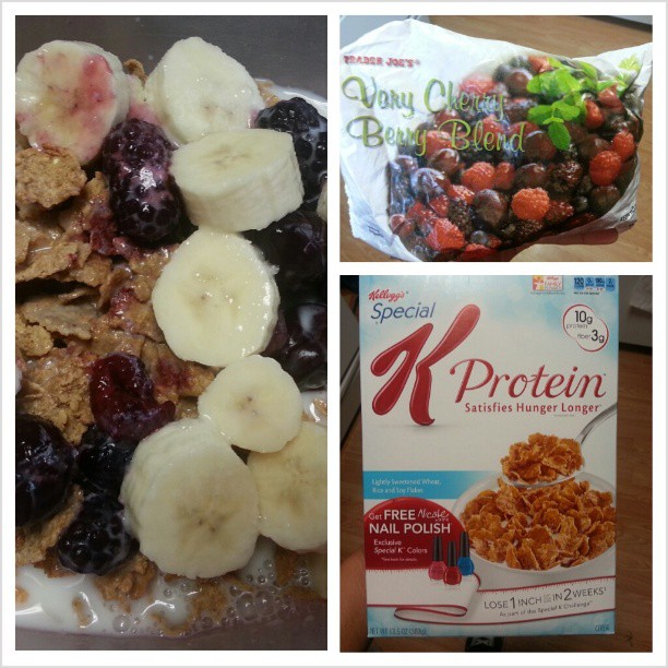 Shannon's Lightening the Load Special K Protein Cereal