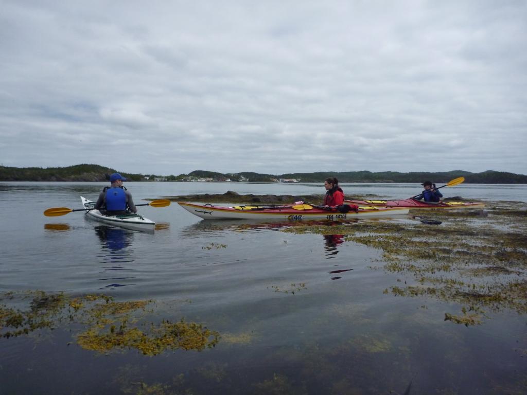 Newfoundland Sea Kayaking Cottle's Island, Bay of Exploits