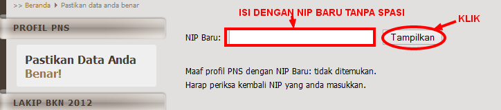 Ra7a Bakbudik Pastikan Data Pns Anda Benar Di Bkn