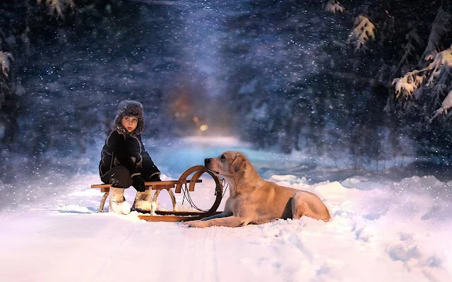 Jongen met hond in de sneeuw