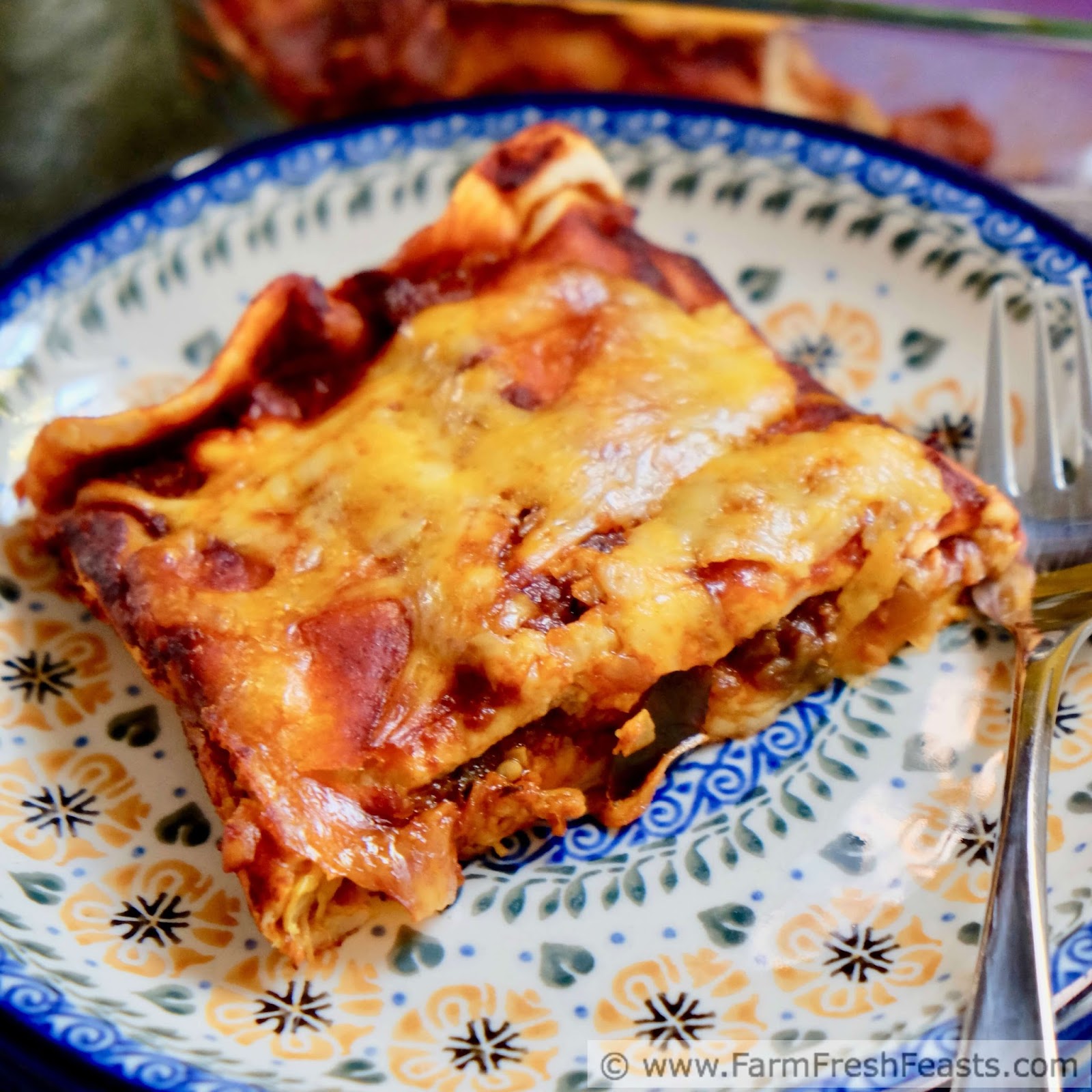 Farm Fresh Feasts Grilled Vegetable Enchiladas