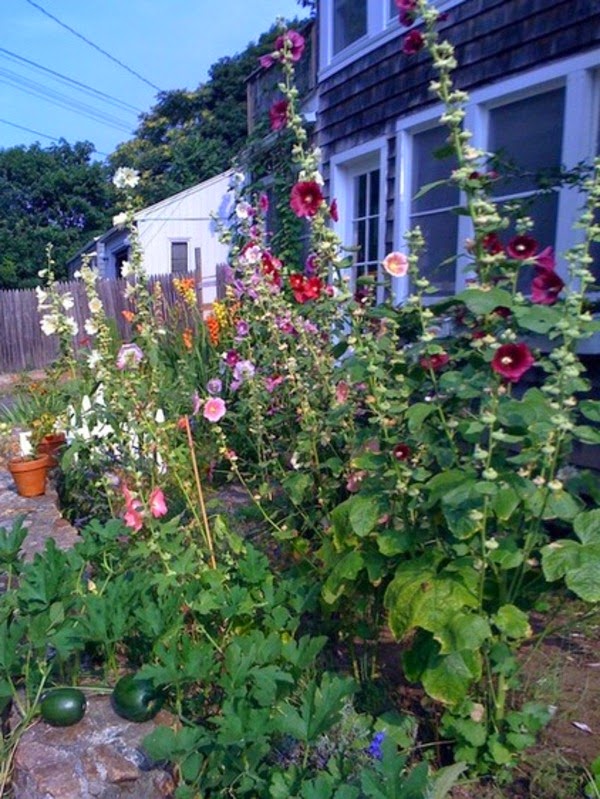 Ideas for garden design for beginner