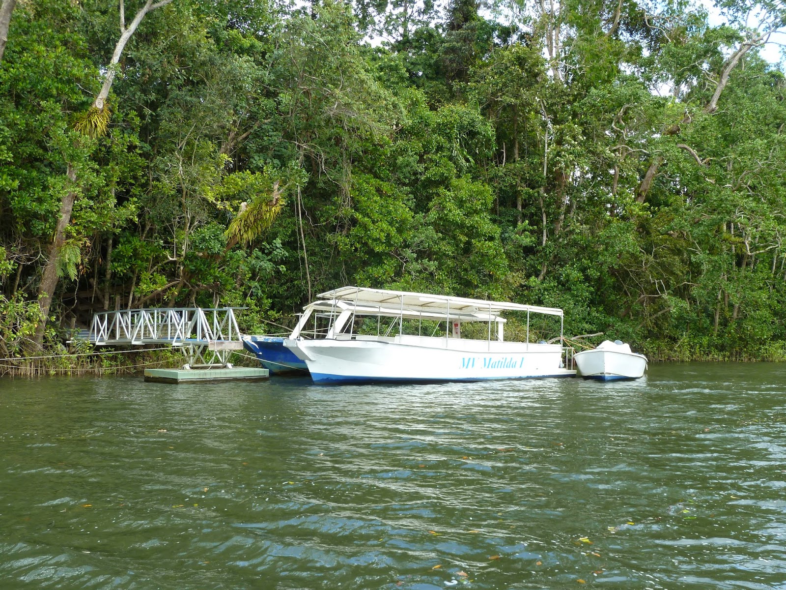 Fishing Cairns DAINTREE RIVER CRUISE CENTRE FOR SALE!
