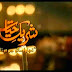 Shareek e Hayat - Episode 29 - 30 May 2013 On Hum Tv