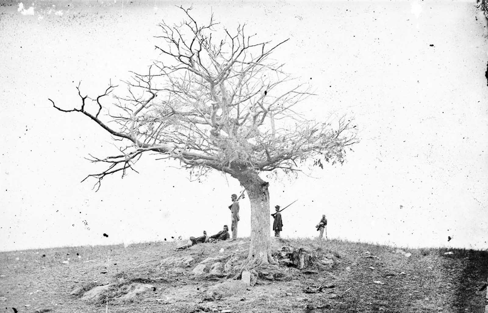 A lone grave (bottom center), near Antietam, Maryland in September of 1862.