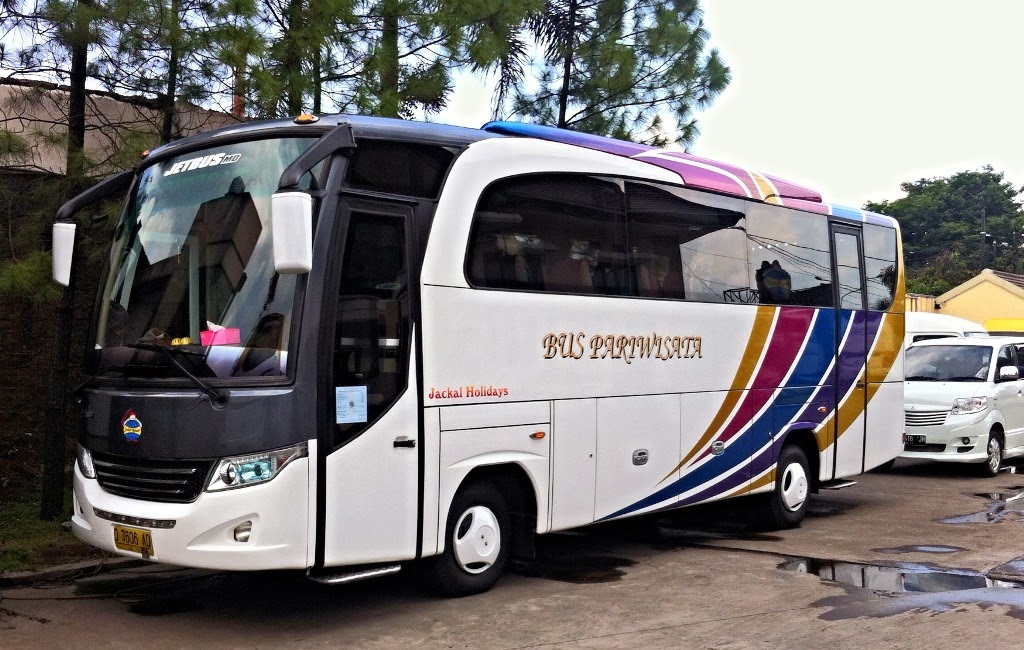 BUS CHARTER-CAR RENTAL-TOURS TRAVEL: PO Jackal Holidays