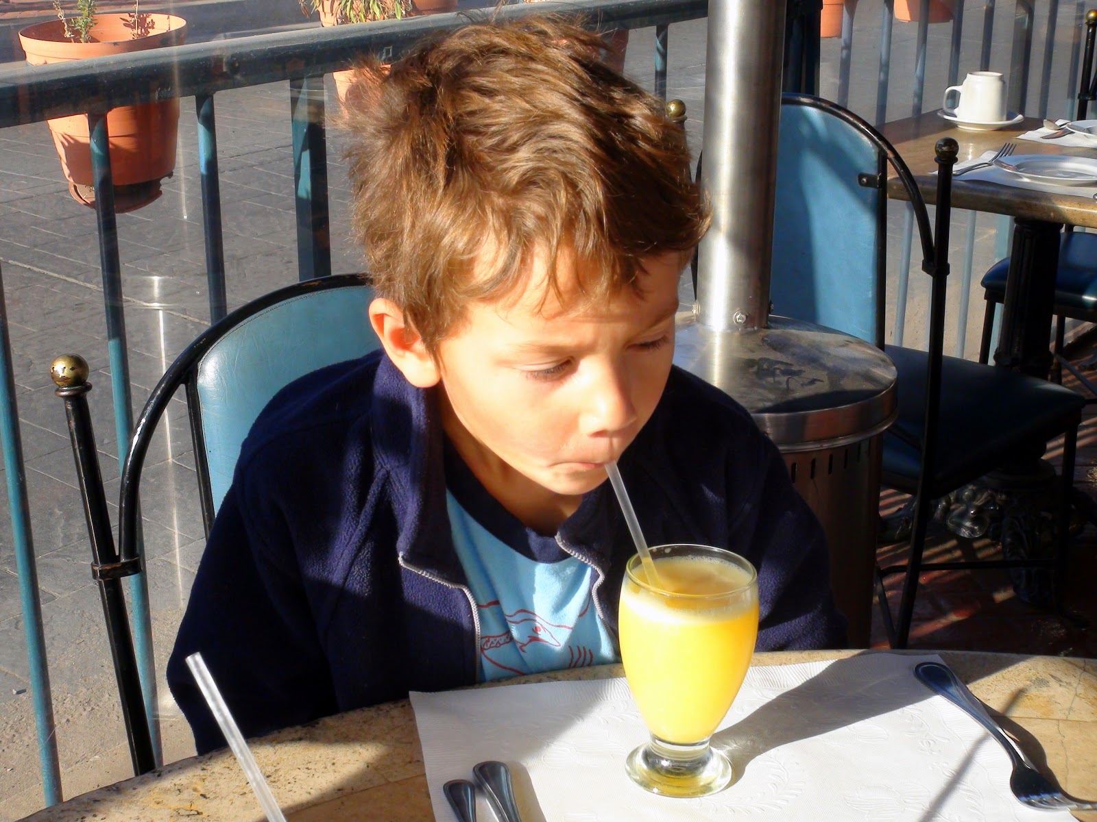 CAMP HOST Jobs Baja Trip of a Lifetime! Viva México!