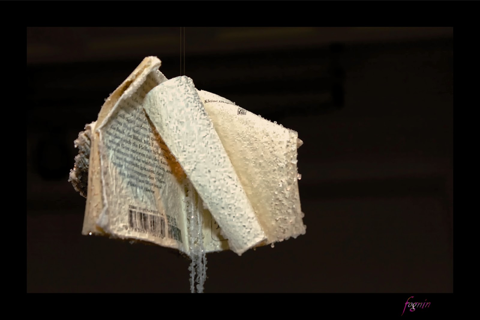 Sonntags Ist Joni Tag Odernichtoderdoch Bloglovin