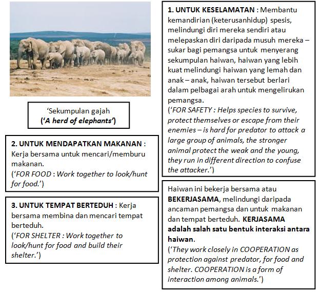 Sains Best Sesetengah Haiwan Hidup Berkumpulan Dan Sesetengahnya Hidup Bersendirian Bah 2