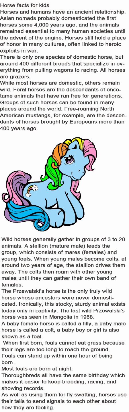 Horse facts for kids