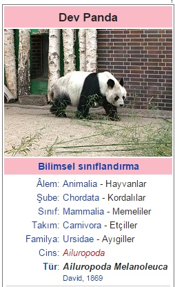 nesli tukenmekte olan hayvanlar