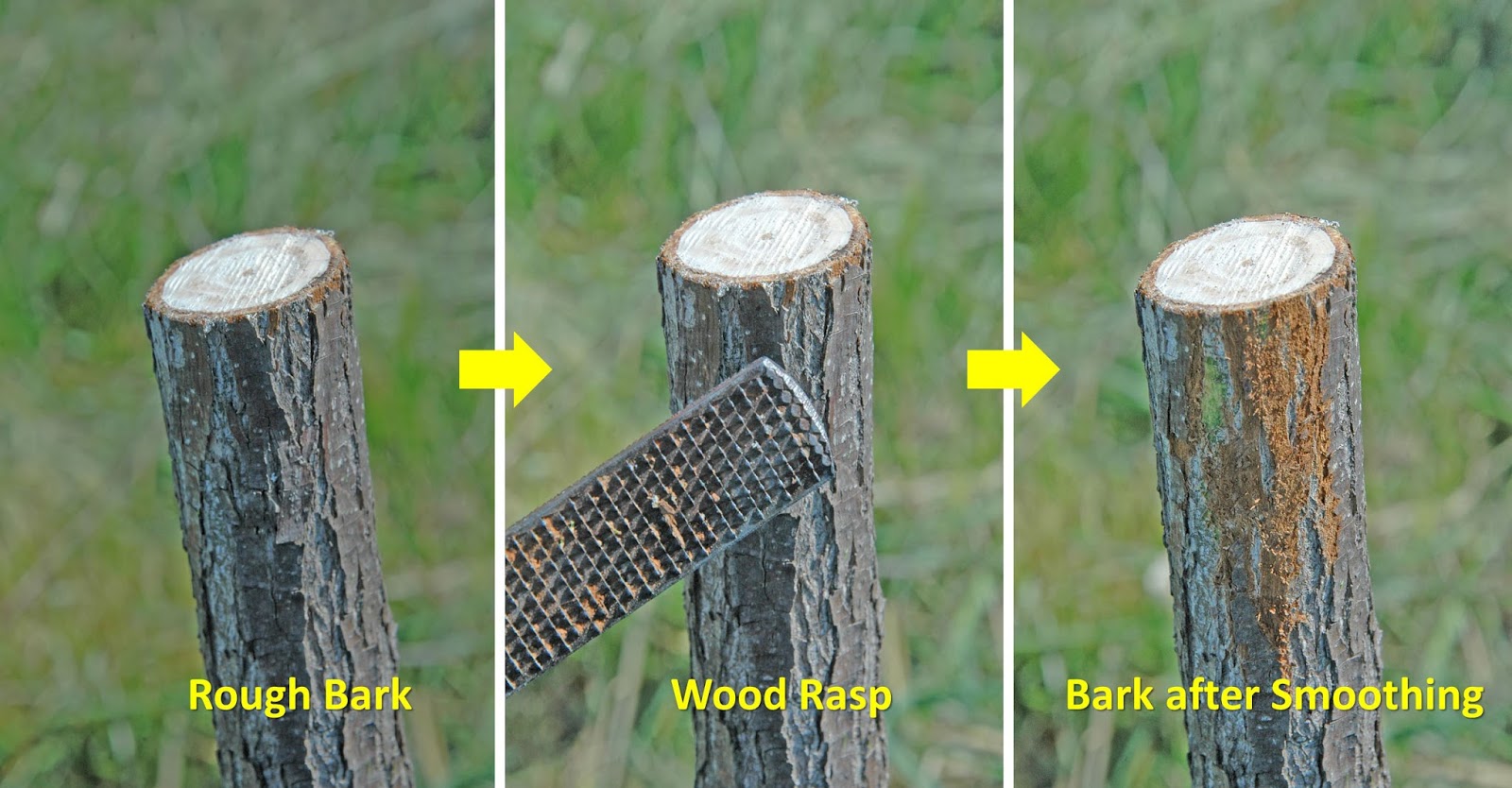 Northern Pecans Bark grafting tips