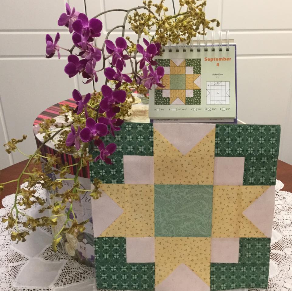 Debby Kratovil Quilts Quilter's Block a Day Calendar Week 36