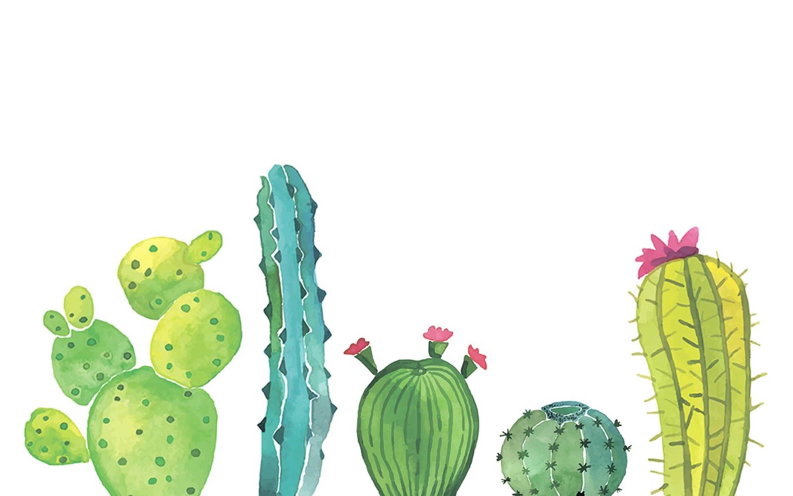 download free android cactus download free android cactus