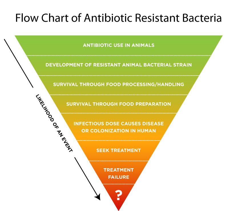 Cdc Antibiotic Resistance Chart 