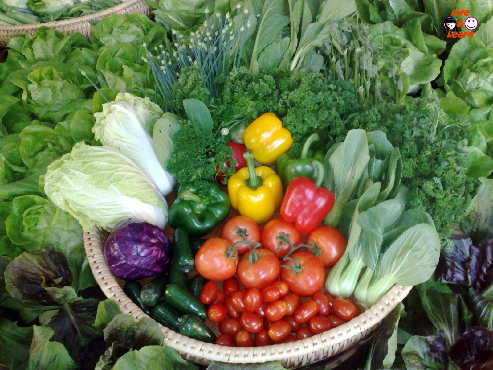 LiveAndLearn ผักไทยไทย Thai Vegetable