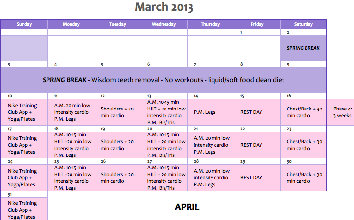 VMfitness VMFITYEAR 16 Week Workout Plan vmfitness-vmfityear-16-week-workout-plan