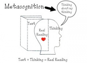 Metacognition.