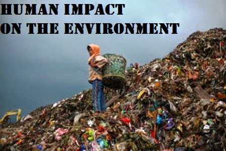 Thoughts to Promote Positive Action...: Human Impact on the Environment