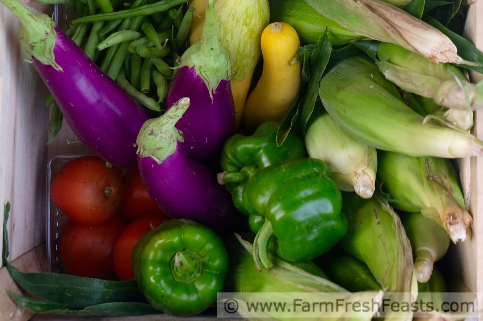 Farm Fresh Feasts Grilled Koreanseasoned Chicken, Eggplant, and