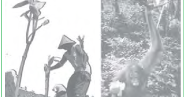 Pengelolaan Lingkungan Hidup