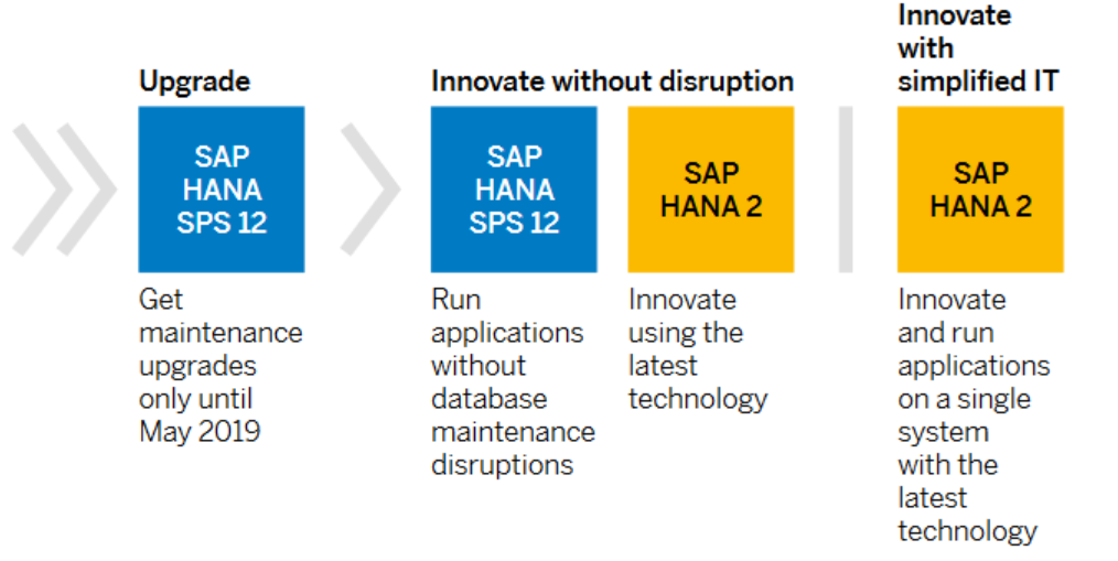 Explore the Differences Between Two Available HANA Versions