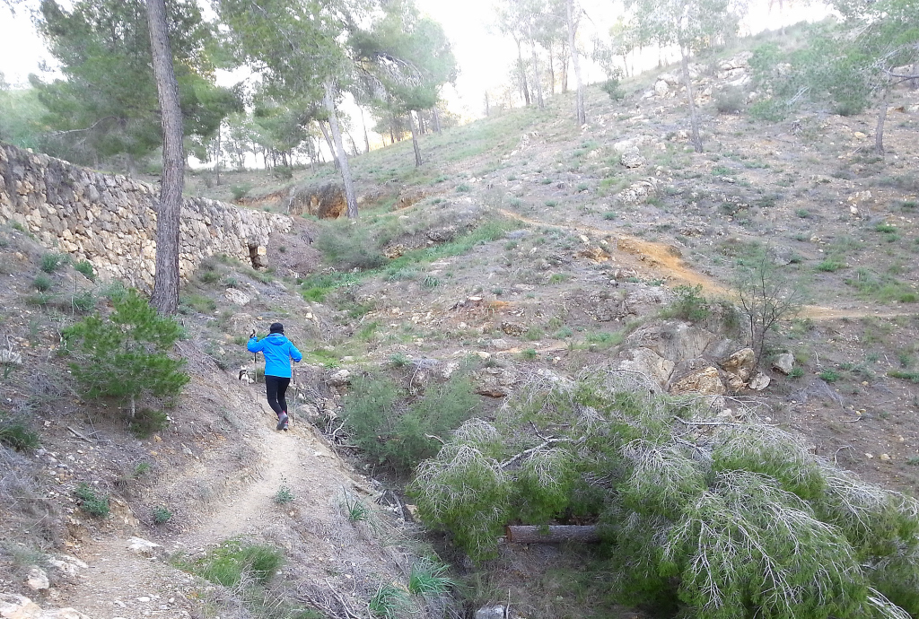 Balsa Redonda de El ValleCasa Forestal del SequénEl AcueductoSenda