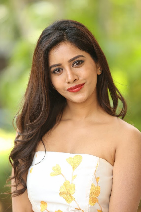 Nabha Natesh at Nannu Dochukunduvate movie Success Meet